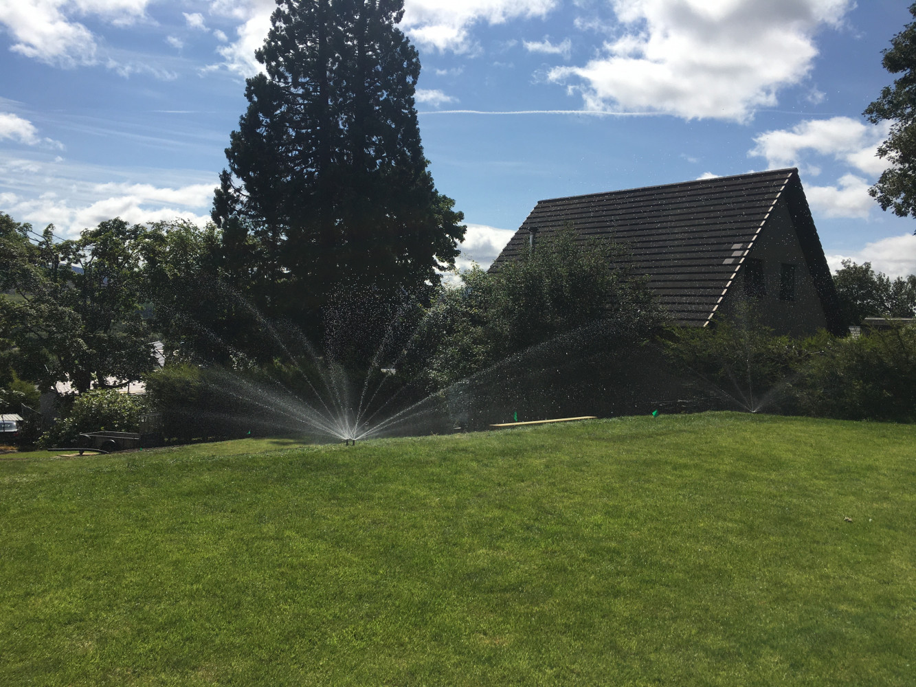 Irrigation in Scotland - the locals did wonder!